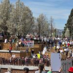 Arvada Protests
